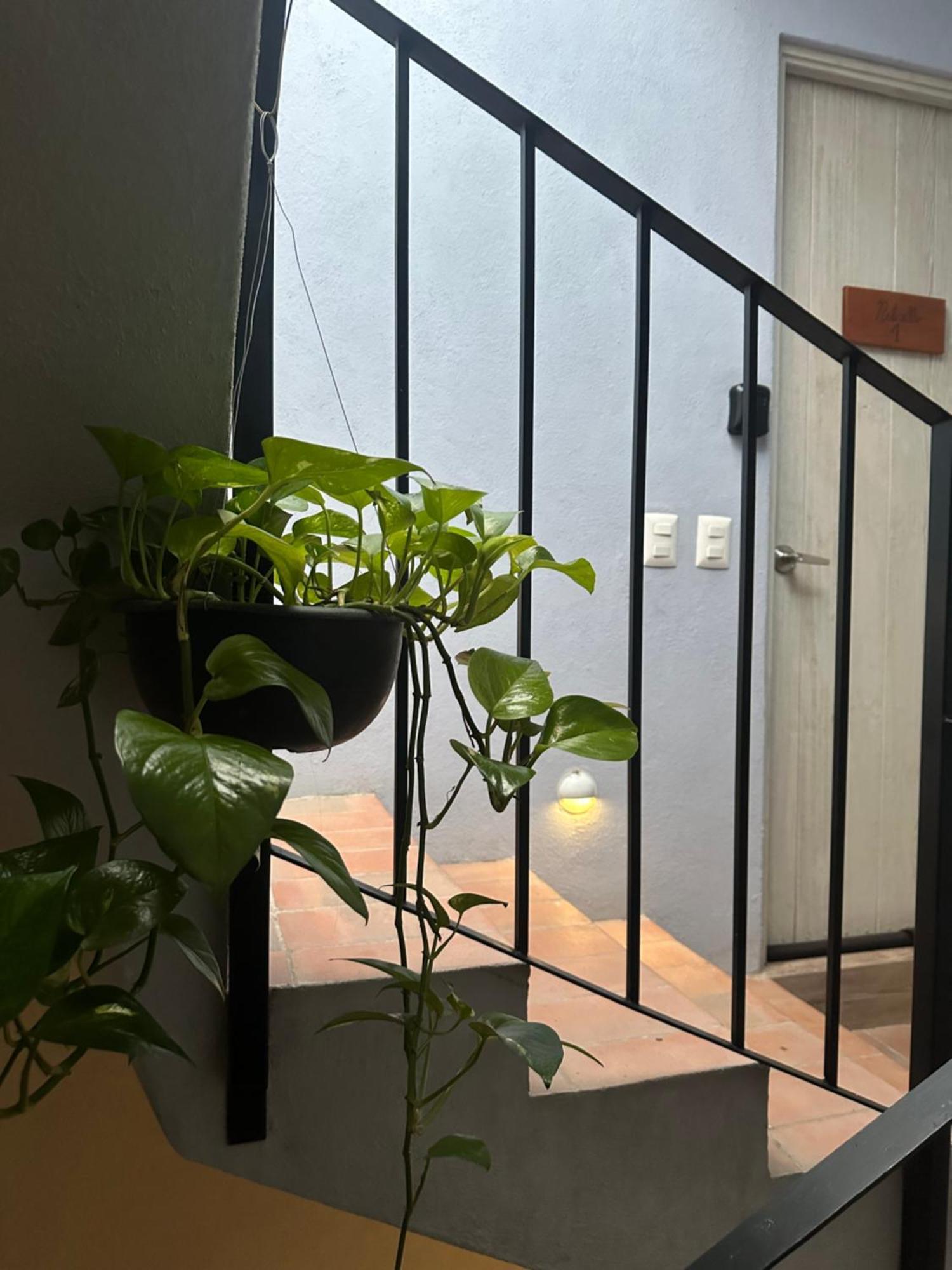 Homestay Santa Noche Suite & Spa